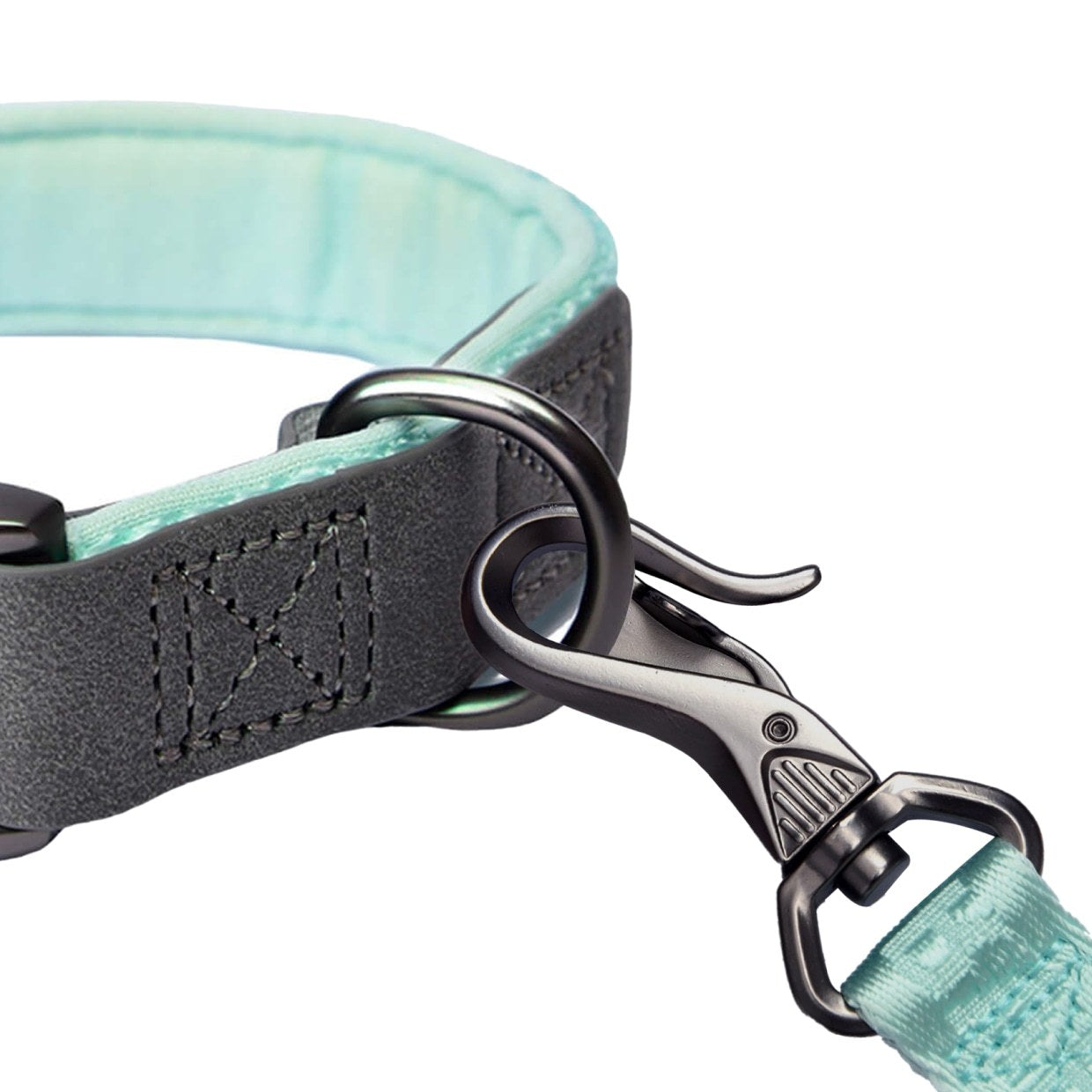 PetMarvel Heavy-Duty Padded Neoprene Dog Collar