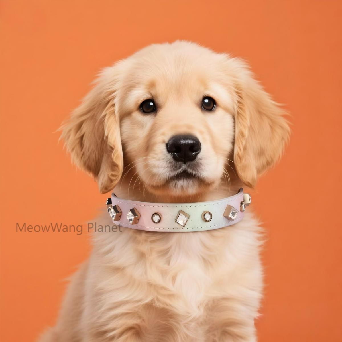 Luxury Gemstone Pet Collar & Leash Set