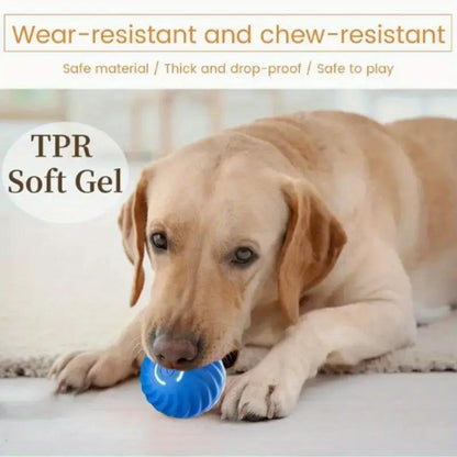 Pet Bouncing Ball For Cats And Dogs