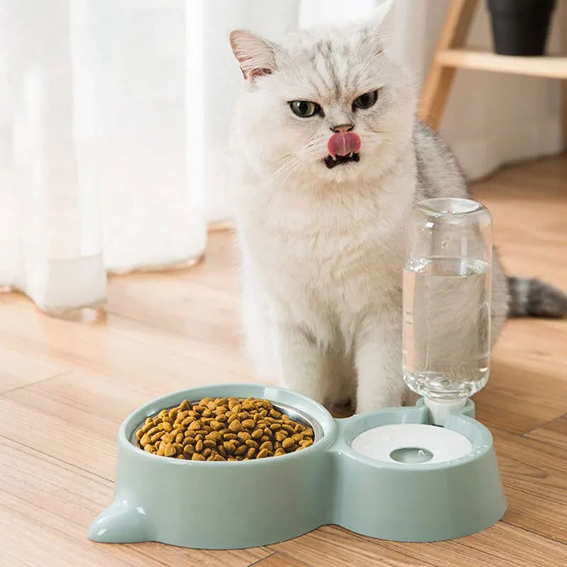 Automatic Pet Water Fountain & Feeder Bowl
