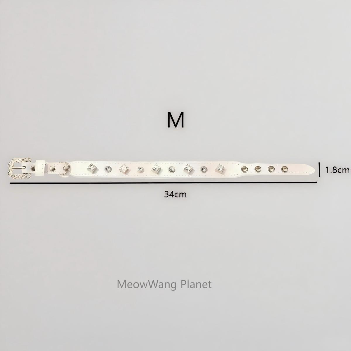 Luxury Gemstone Pet Collar & Leash Set