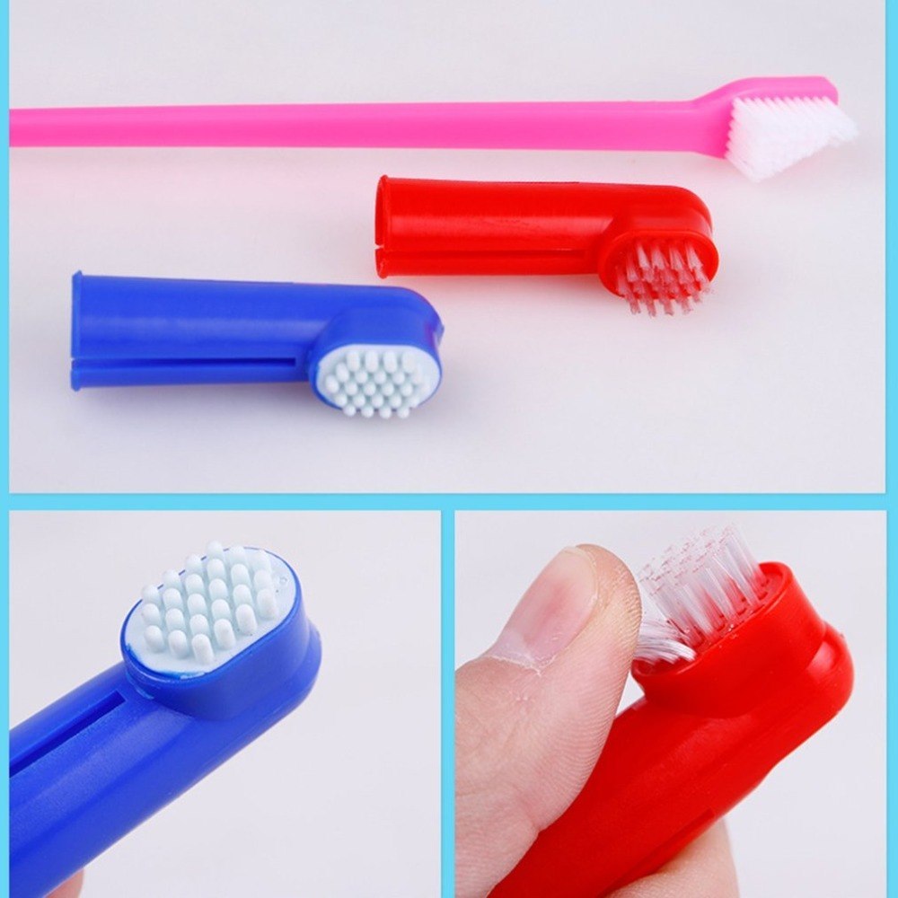 Double-Head Pet Toothbrush & Finger Brush Set