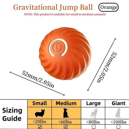 Pet Bouncing Ball For Cats And Dogs