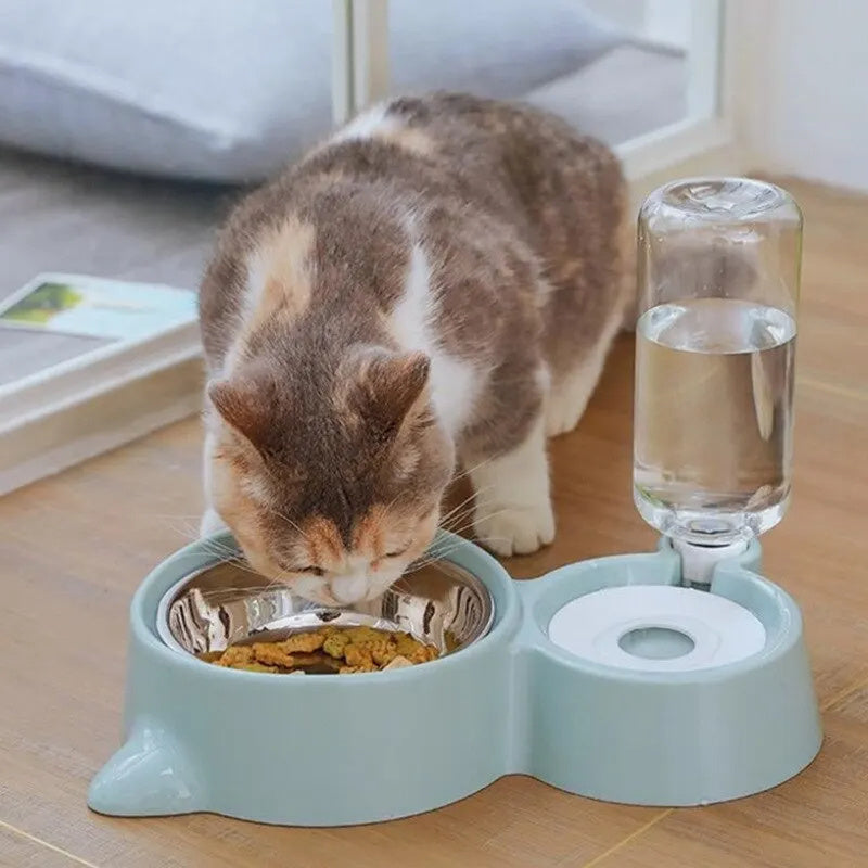 Automatic Pet Water Fountain & Feeder Bowl