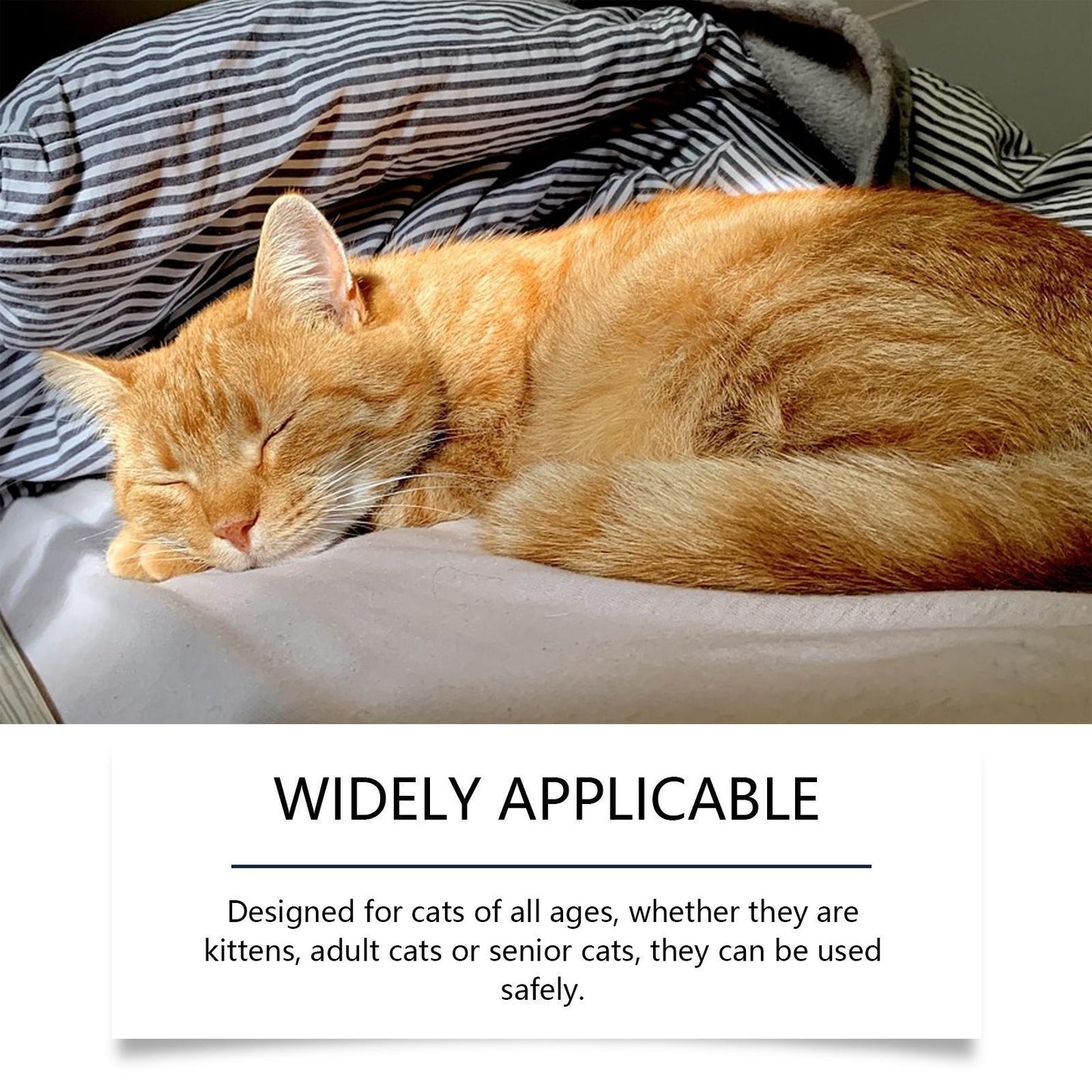 Cat Calming & Emotional Care Set