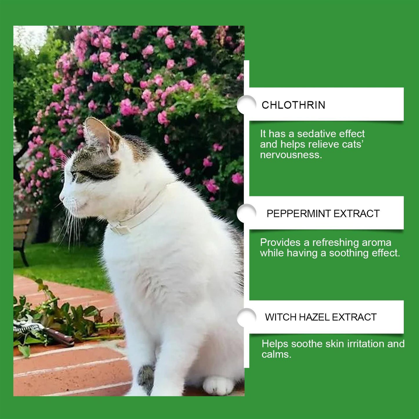 Cat Calming & Emotional Care Set